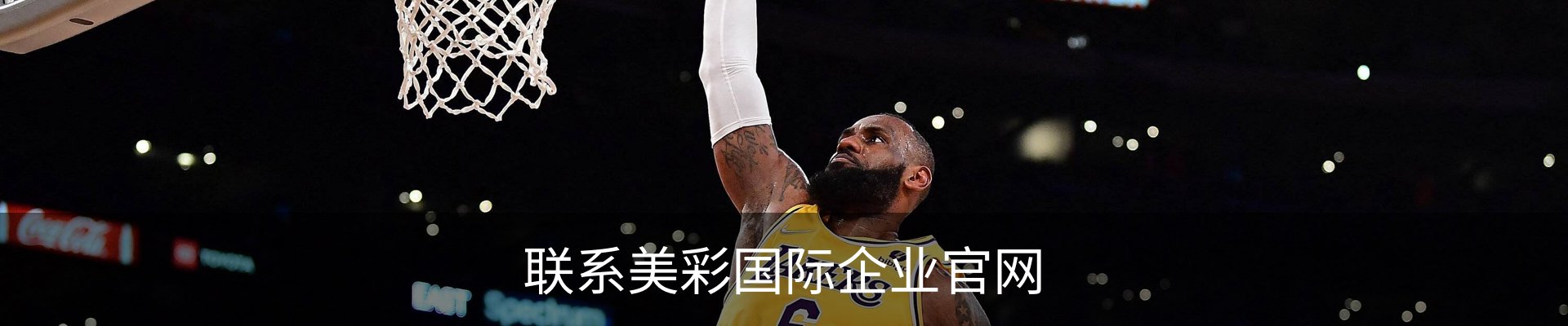联系美彩国际企业官网
